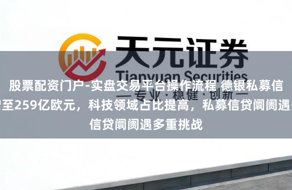 股票配资门户-实盘交易平台操作流程 德银私募信贷敞口增至259亿欧元，科技领域占比提高，私募信贷阛阓遇多重挑战