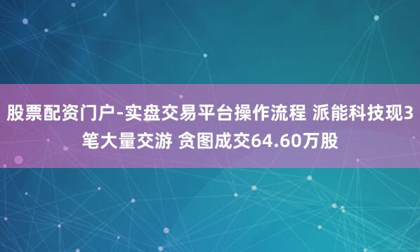 股票配资门户-实盘交易平台操作流程 派能科技现3笔大量交游 贪图成交64.60万股