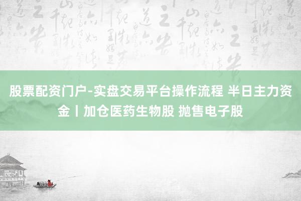股票配资门户-实盘交易平台操作流程 半日主力资金丨加仓医药生物股 抛售电子股